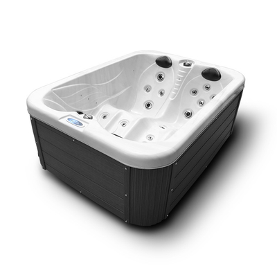 Hệ thống Balboa Hoa Kỳ Châu Âu Bồn tắm Spa nóng lạnh mini ngoài trời